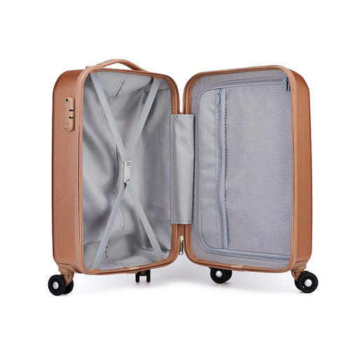 DELSEY法国大使 拉杆箱小旅行箱密码箱万向轮男女行李箱 金色 20英寸00302080105 商品图4