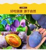 新疆法兰西西梅干500g送树上干杏送小香包 商品缩略图1