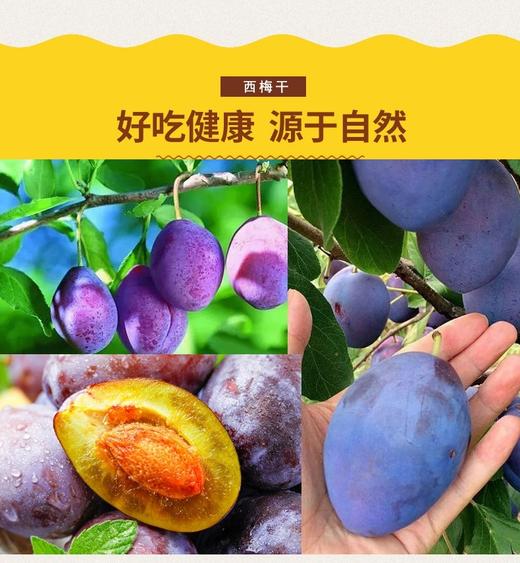 新疆法兰西西梅干500g送树上干杏送小香包 商品图1