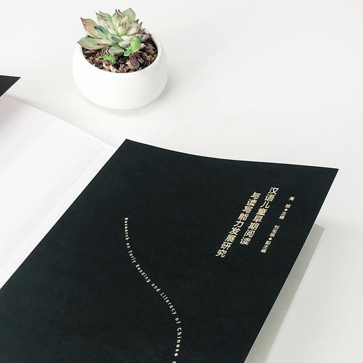 汉语儿童早期阅读与读写能力发展研究 商品图2