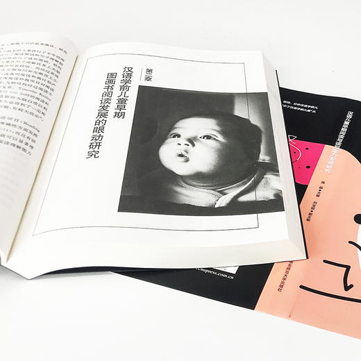 汉语儿童早期阅读与读写能力发展研究 商品图1