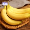 【BH】【JZ】【城·食配】香蕉  约2斤 商品缩略图0