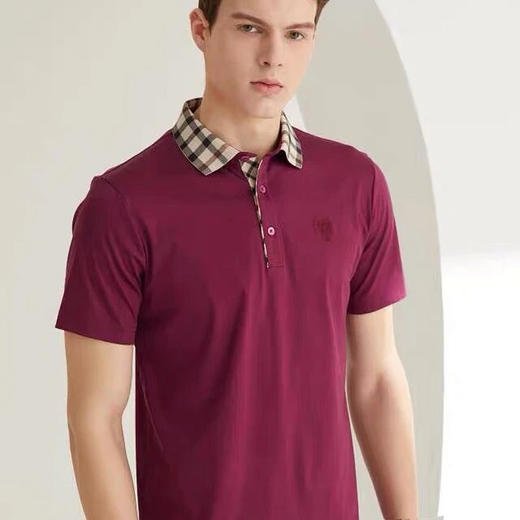 Daks 英伦格子高端弹力丝光棉Polo衫 商品图4