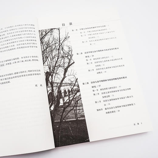 汉语儿童早期阅读与读写能力发展研究 商品图3