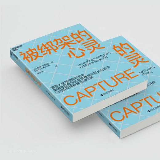 湛庐┃被绑架的心灵 （揭秘非理性行为背后的机制） 商品图3