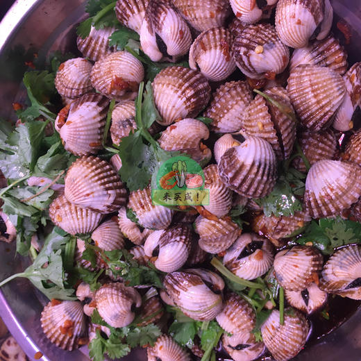 腌制血蚌（限下午供应） 商品图0