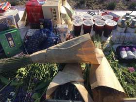 6.13助力榜一500元大礼包（198元薰衣草枕头+干花束2把+瓜子108g2包+红枣1包+薰衣草精油15ML*2瓶+果丹皮1盒）