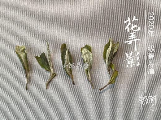 2020一级春寿眉《花弄影》，温柔花香里的牡丹之影 商品图3