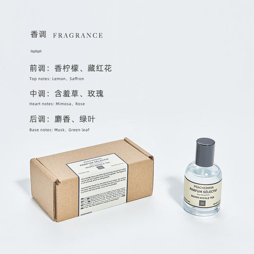 银针茶香水天然清新香氛SILVER NEEDLE TEA白毫 中性香持久留香 商品图4