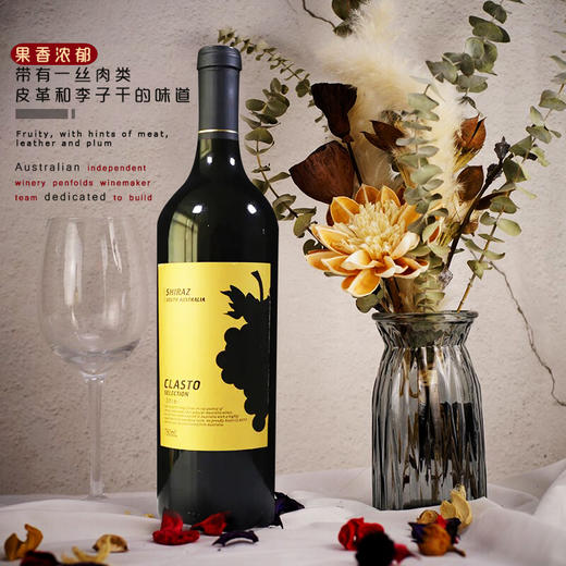 【年货节】红葡萄酒 澳洲嘉士图南 澳大利亚西拉 商品图1