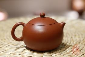 西施壶，优质原矿小煤窑朱泥，秦巡全手工制作