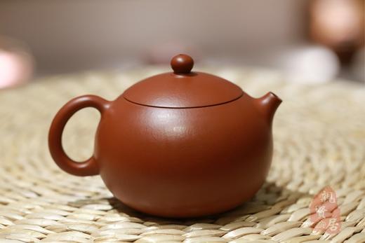 西施壶，优质原矿小煤窑朱泥，秦巡全手工制作 商品图0