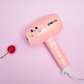 迷你旅行便携卡通吹风机学生宿舍家用小型功率不伤发吹风筒DQ20603