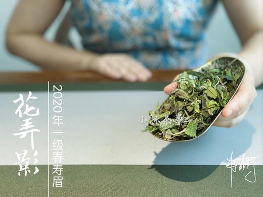 2020一级春寿眉《花弄影》，温柔花香里的牡丹之影 商品图0