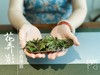 2020一级春寿眉《花弄影》，温柔花香里的牡丹之影 商品缩略图2