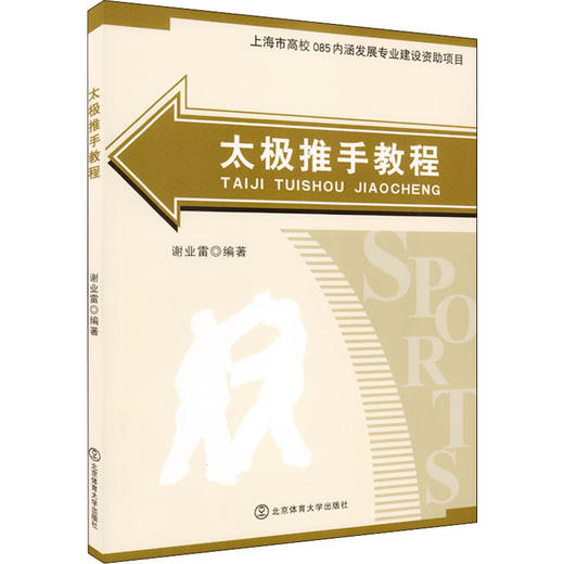 太极推手教程 商品图0