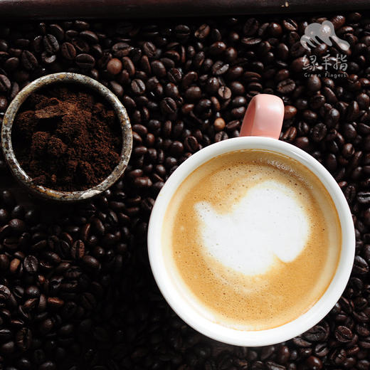 生态福山咖啡豆 | 合作生产*Eco-Fushan Drip Coffee 商品图0
