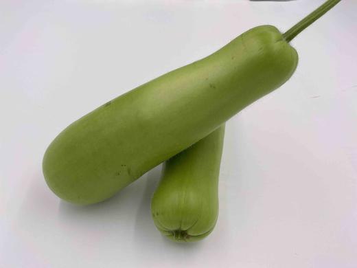 有机夜开花（瓠瓜） 商品图1