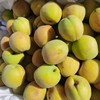 大京杏新鲜当季水果 商品缩略图4