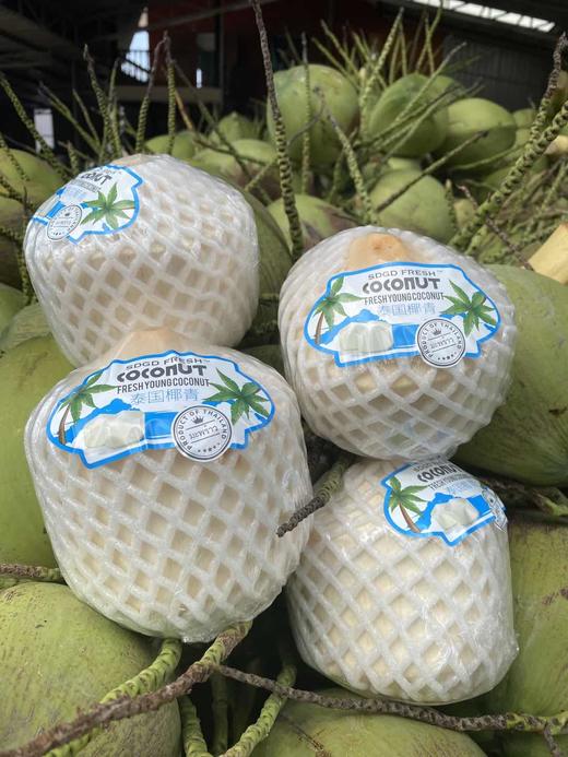 【进口】泰国椰青6个/9个装（单果700-900克） 京东包邮 商品图3