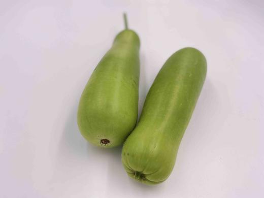 有机夜开花（瓠瓜） 商品图3