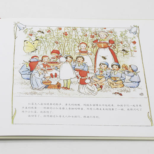 小彼得在蓝莓地 商品图1