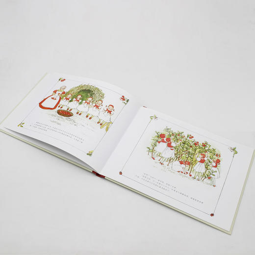 小彼得在蓝莓地 商品图3