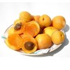 大京杏新鲜当季水果 商品缩略图2