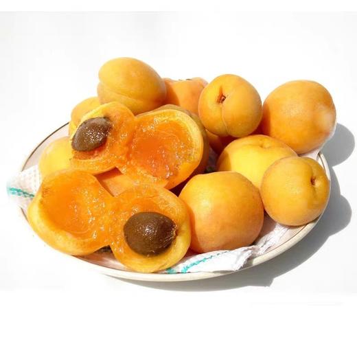 大京杏新鲜当季水果 商品图2