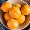 大京杏新鲜当季水果 商品缩略图3