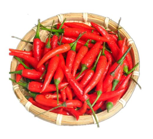 小米辣约100gbcsj