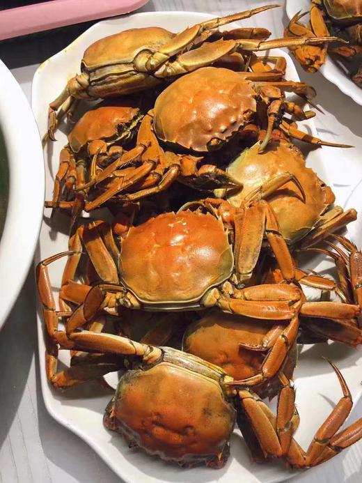 江苏小闸蟹20只一份