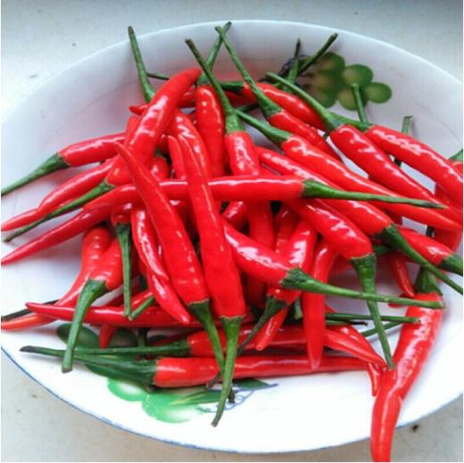 小米辣约100gbcsj