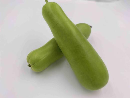 有机夜开花（瓠瓜） 商品图2