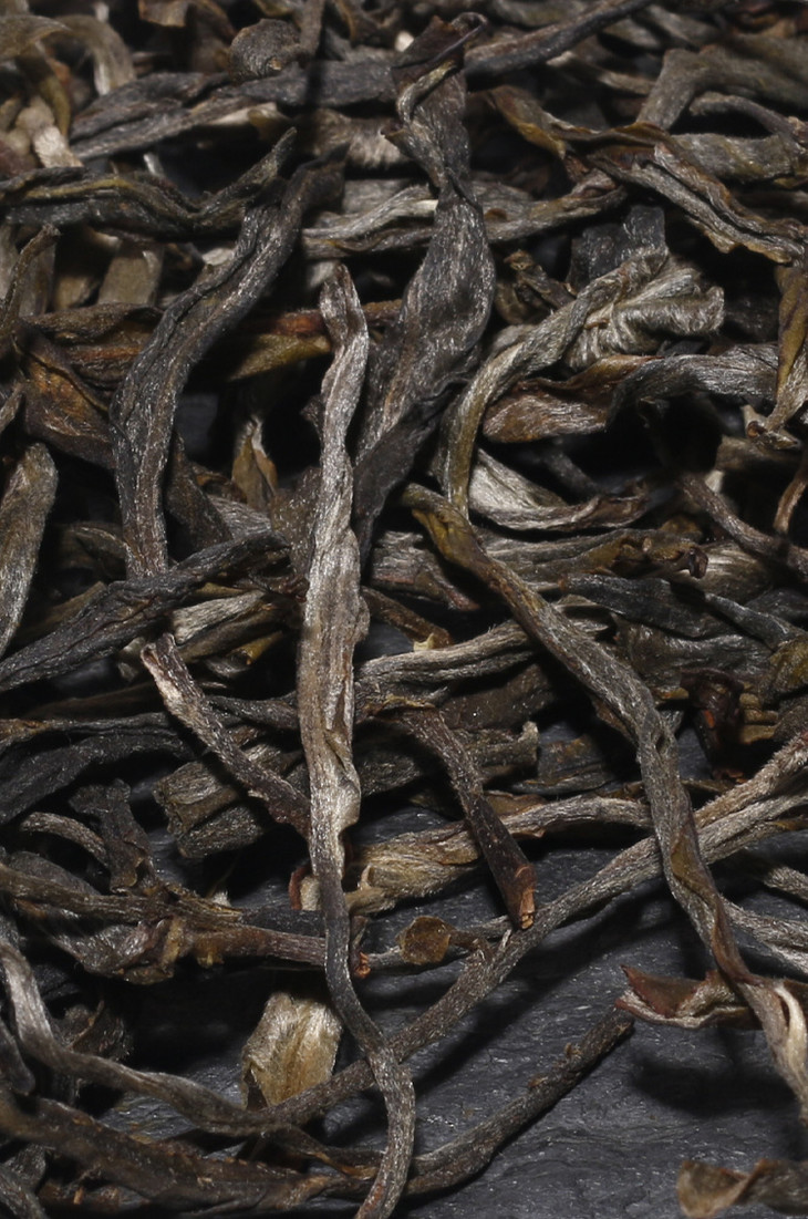 15日1200开售2020年头春易武刮风寨茶王树800年古树单株散茶生茶