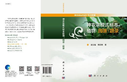 神农架模式标本植物：图谱·题录 商品图3