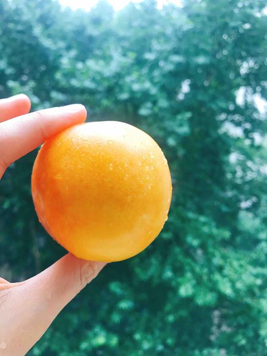 山东  黄金油桃 商品图6