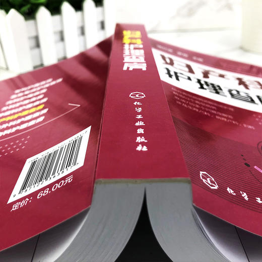 官方正版 妇产科护理查房 临床护理查房丛书 妇产科患者护理措施技能操作 临床查房注意事项 疾病诊治治i疗措施 妇产科书籍 商品图4