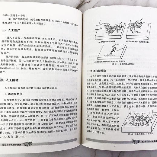 轻松养殖致富系列 轻轻松松池塘养金鱼 养鱼技术书籍 金鱼活饵料人工培养科学投饲技巧金鱼疾病防治技巧水产养殖技术观赏鱼养殖书 商品图3