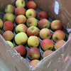 〔上海直发包邮〕南非小苹果 商品缩略图0