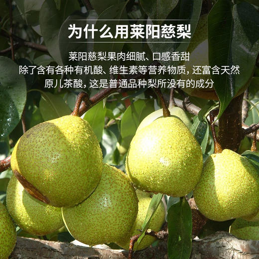 【下火润燥】美和居小醋梨膏160gx2瓶老陈醋制品秋梨膏 商品图2