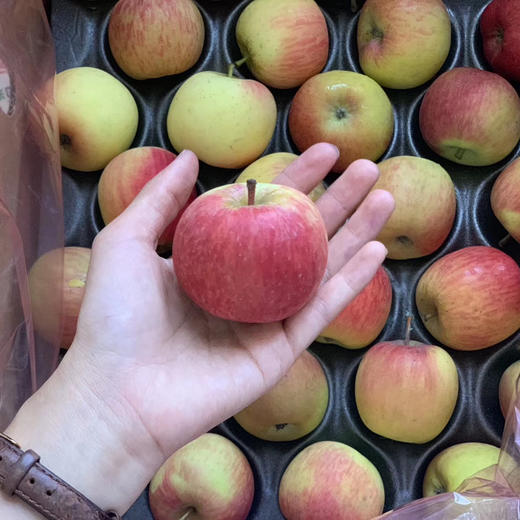 〔上海直发包邮〕南非小苹果 商品图2