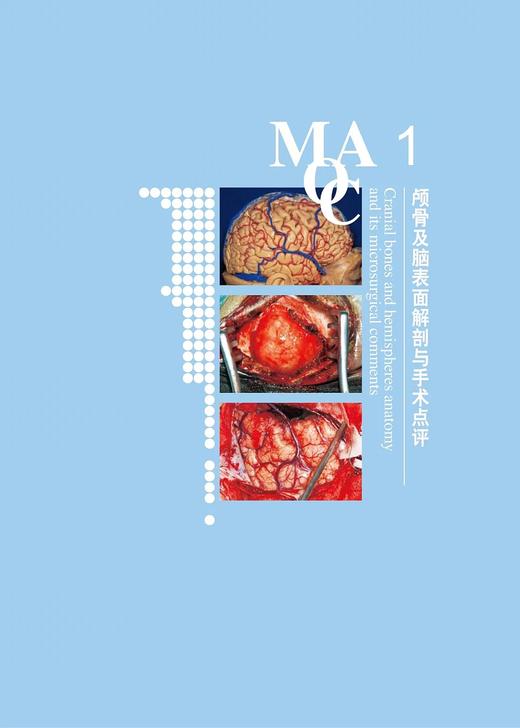 显微神经外科解剖与手术技术 石祥恩 钱海 商品图11