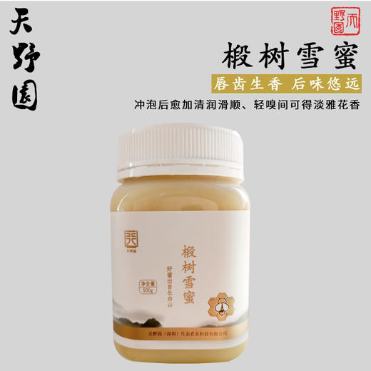 天野园·椴树雪蜜 好蜜出自长白山 甜糯甘润 状如羊脂 商品图0