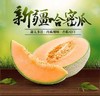 头茬新疆西州蜜25号哈密瓜4个装 毛重14.5-15斤 商品缩略图0
