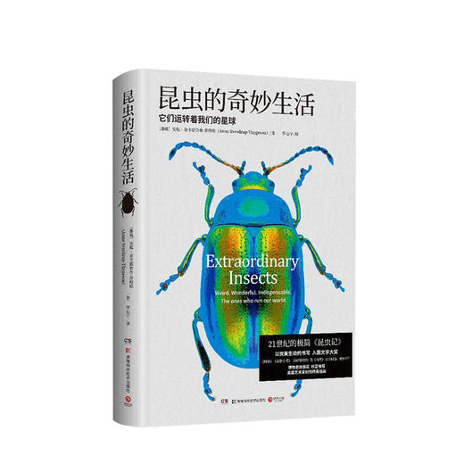 昆虫的奇妙生活  博物君张辰亮推荐 21世纪的极简昆虫记 昆虫科普书 商品图0