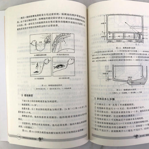 轻松养殖致富系列 轻轻松松池塘养锦鲤 池塘养鱼观赏鱼养殖技术大全书籍观赏鱼常见疾病防治实用喂养护理饲养书籍入门养锦鲤金鱼书 商品图4