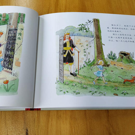 西维亚公主 商品图1