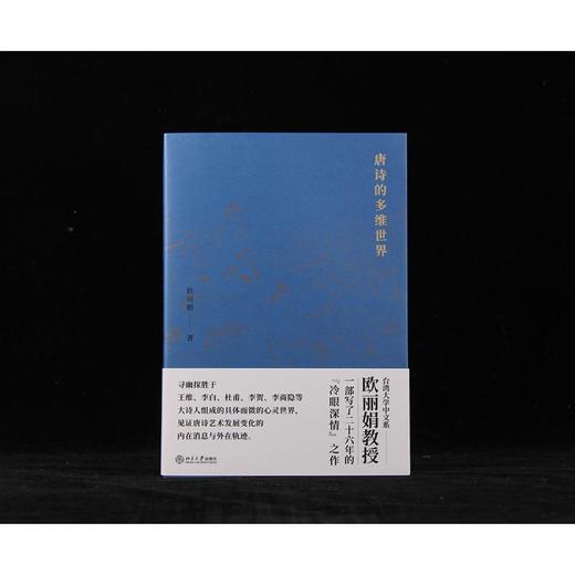 欧丽娟《唐诗的多维世界》 商品图0