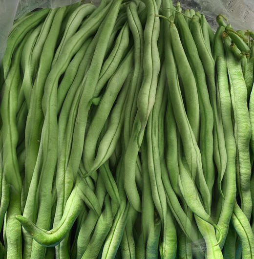 新鲜豆角1斤100g9月22号下午1800前提货
